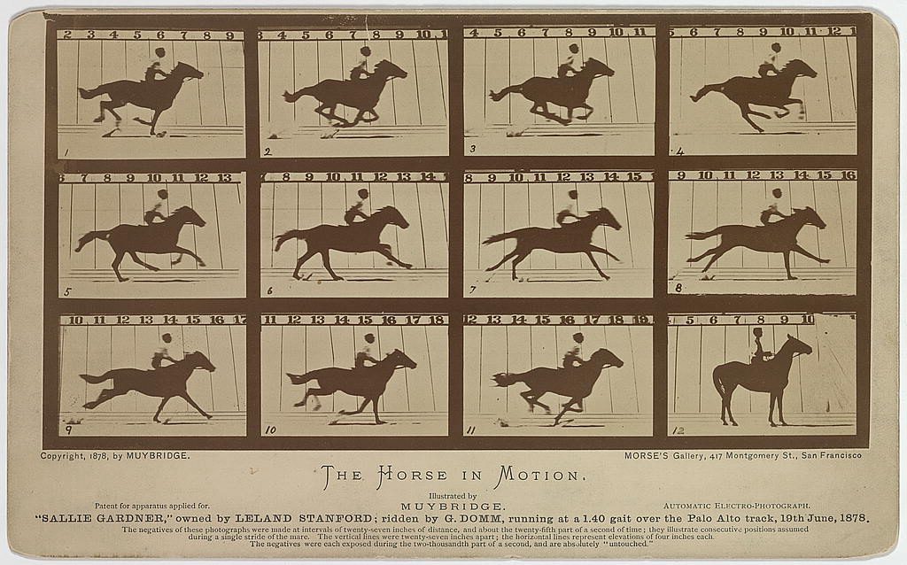 Thumbnails of Muybridge's studies of a running horse in series.